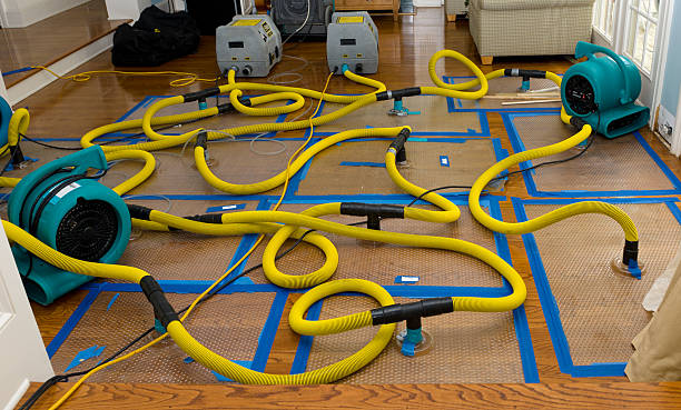 Professional Burst Pipe Water Damage technician working in Whipple, OH